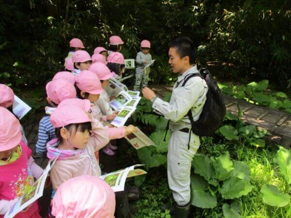 木育