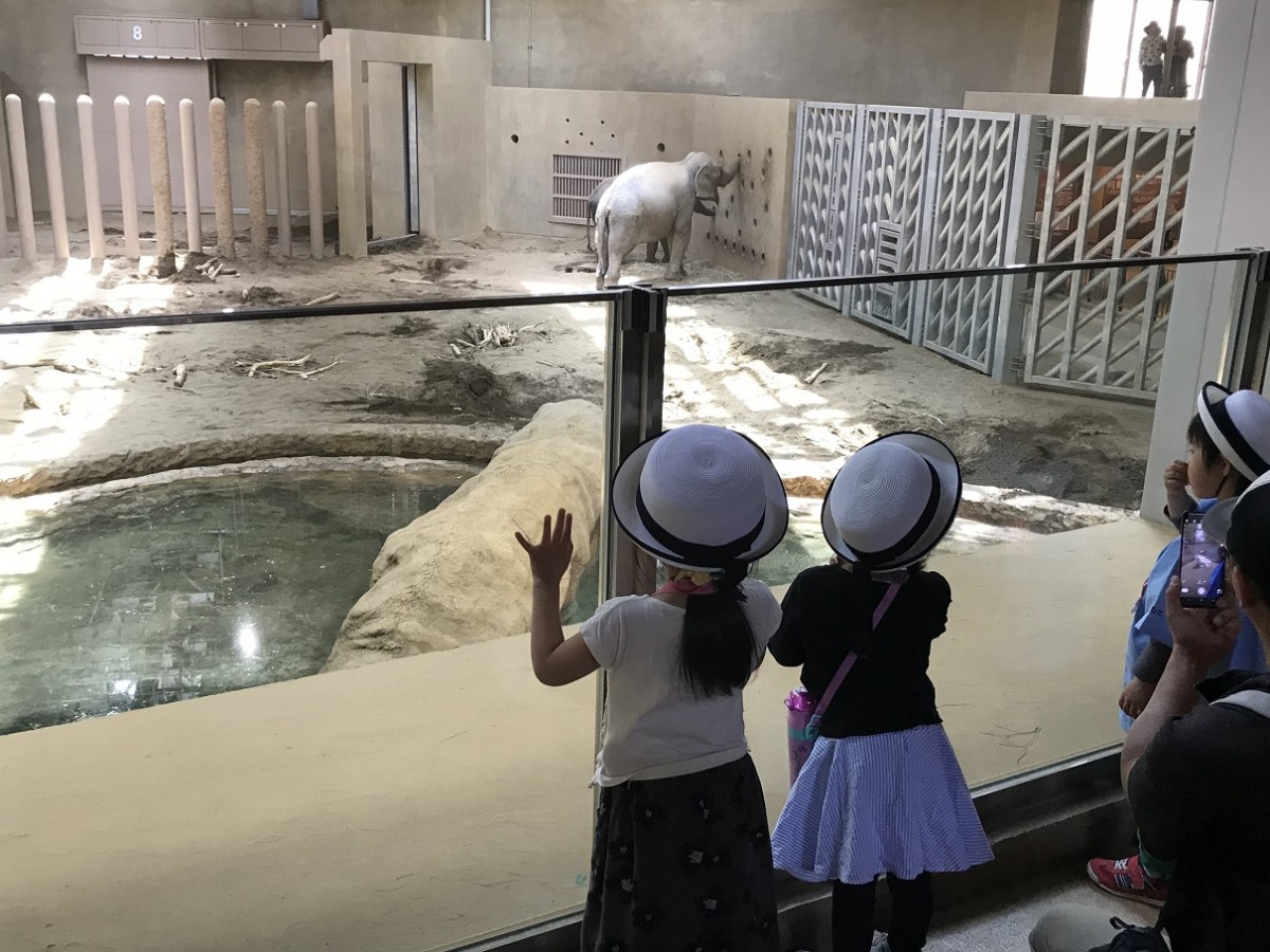 親子遠足